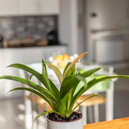 Veigas De Iria - Turistico Vut アパート