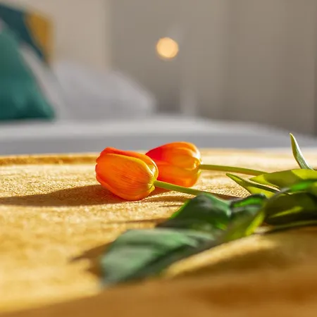 Veigas De Iria - Turistico Vut アパート *